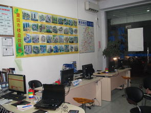 闽城房产中介 连接城市与家的专业纽带